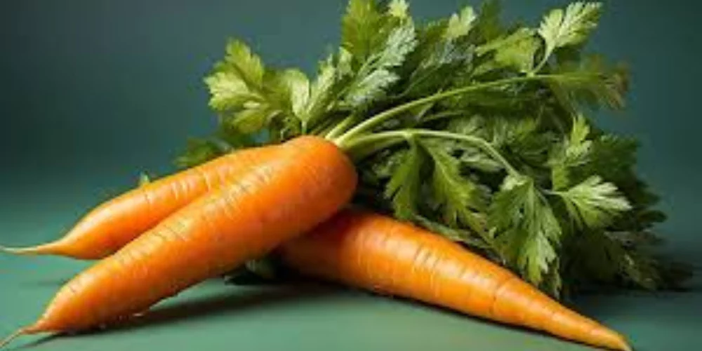 Carrot2