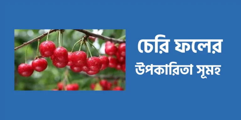 Cherry fruit11