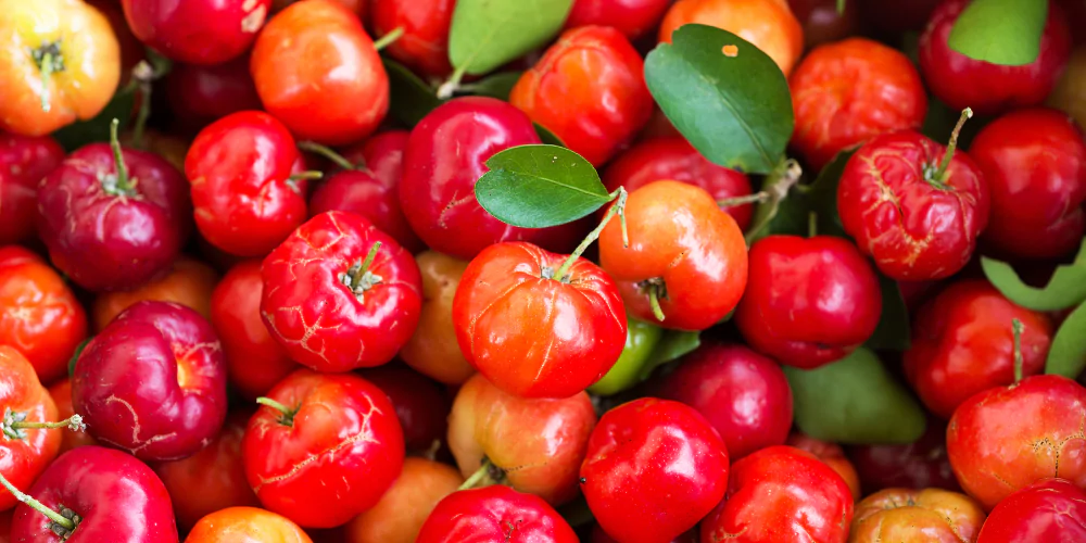Cherry fruit3