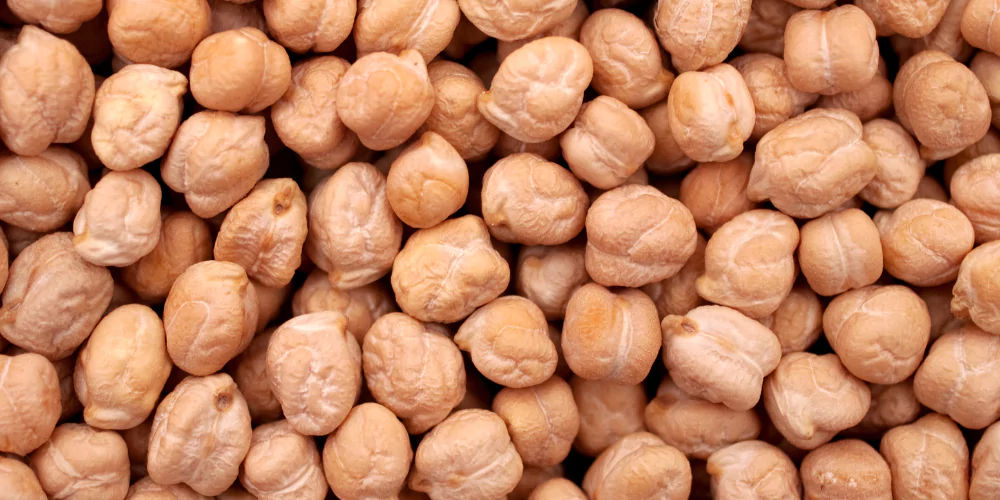 Chickpeas4