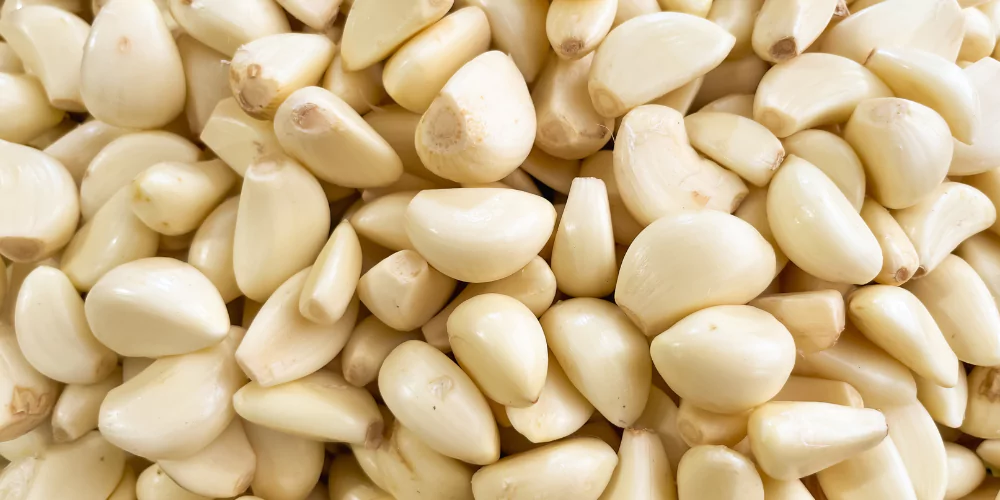 Garlic5