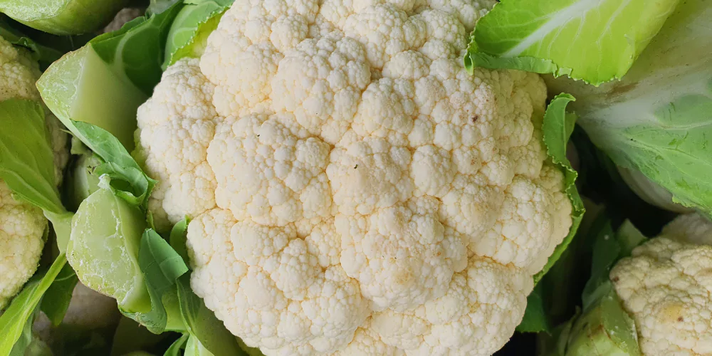 Cauliflower4