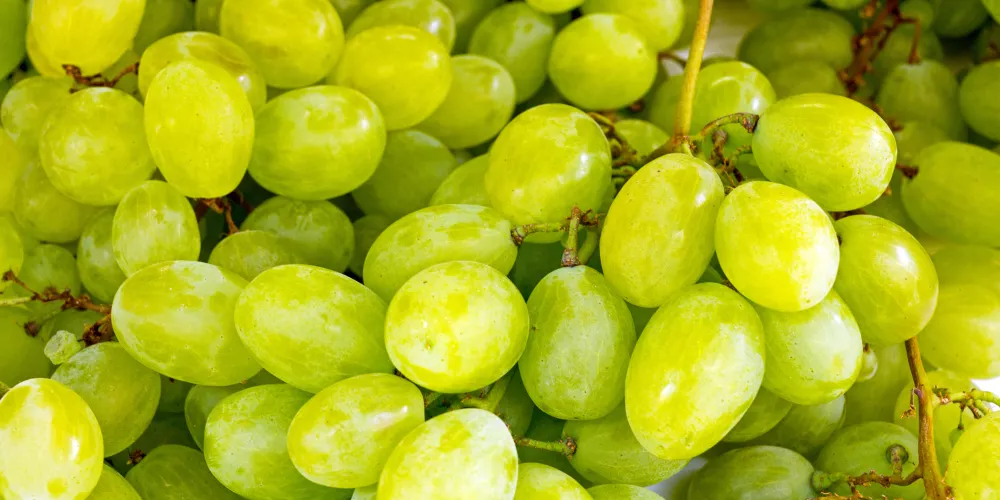 Green grapes2