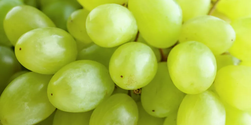 Green grapes3