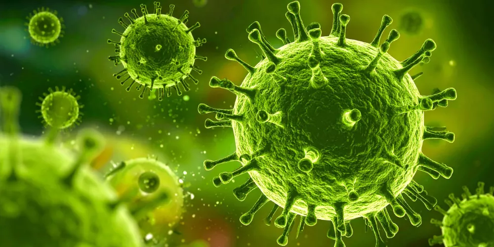 Infectious diseases2