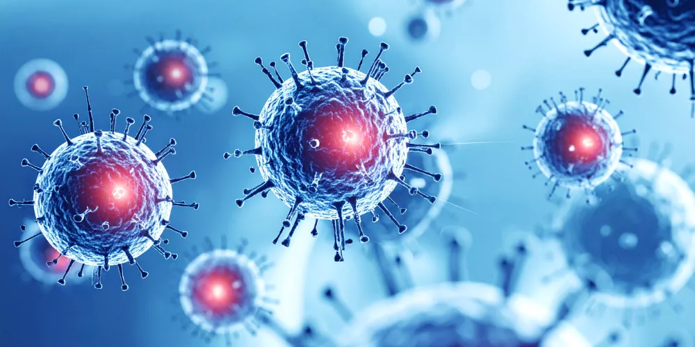 Infectious diseases3