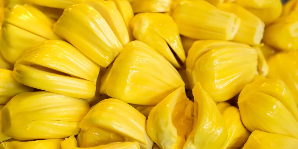 Jackfruit2