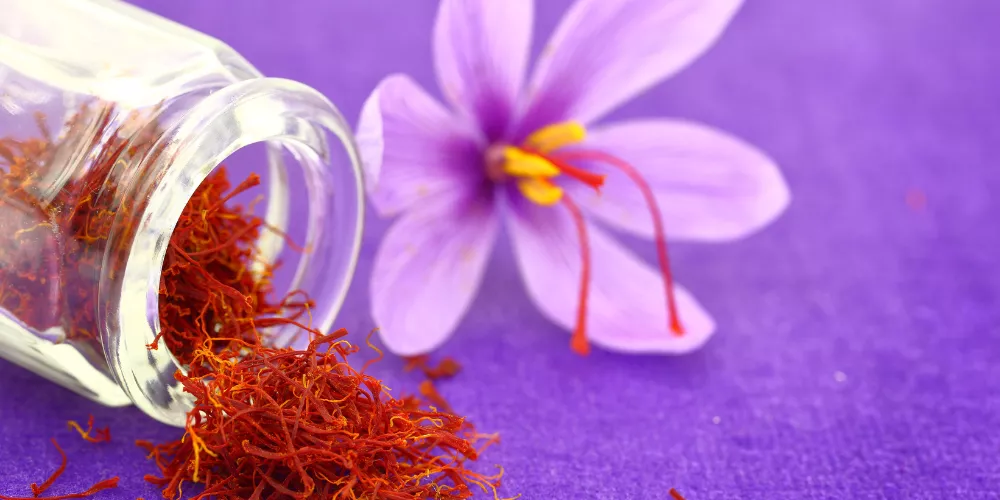 Saffron4