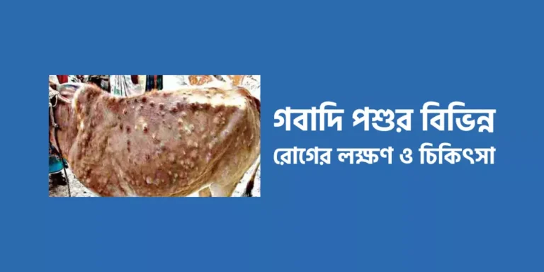 Various diseases of cattle1